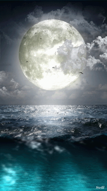 Ocean moon - The Rearview Mirror And Me~